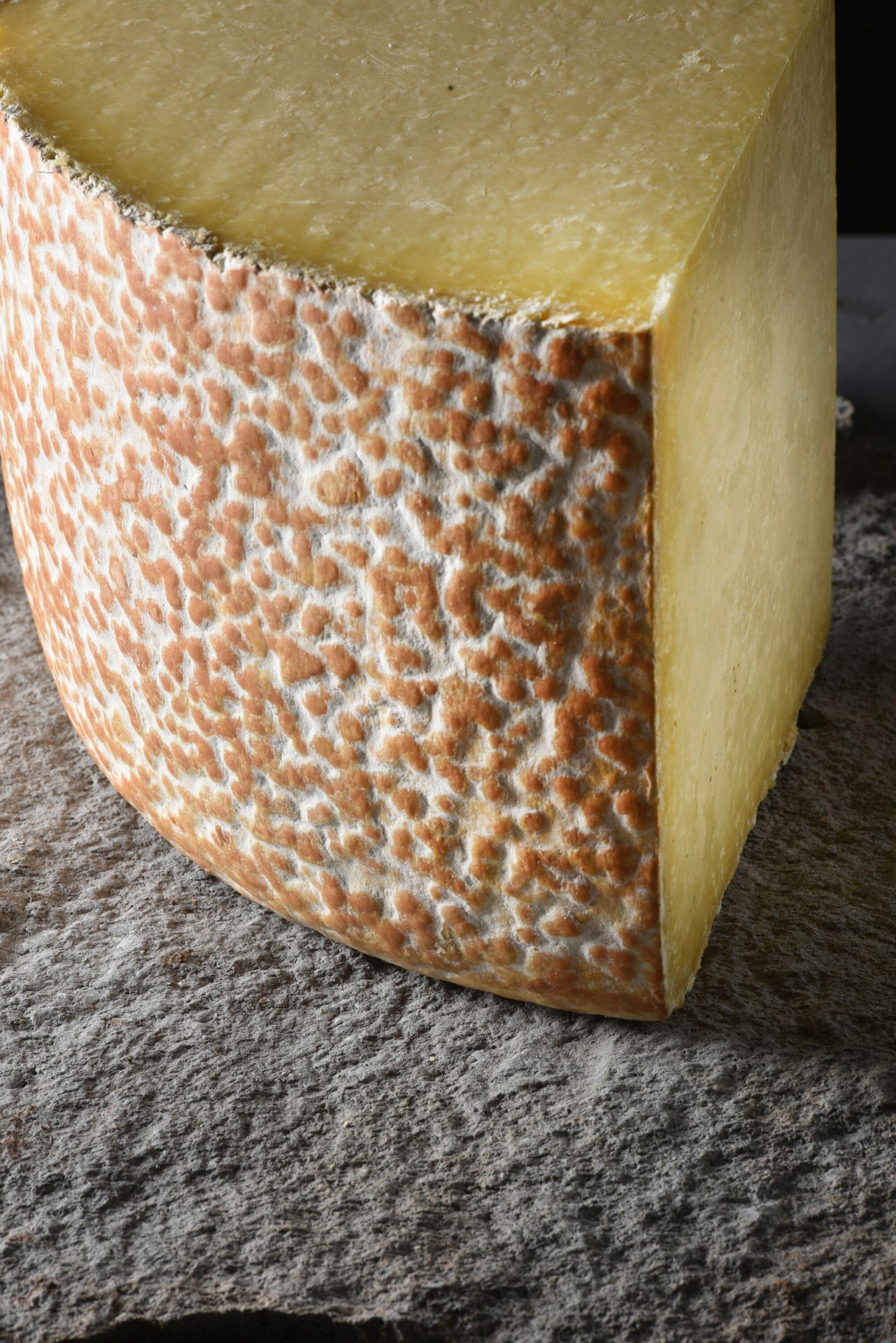 Cantal AOP-Käse aus der Auvergne