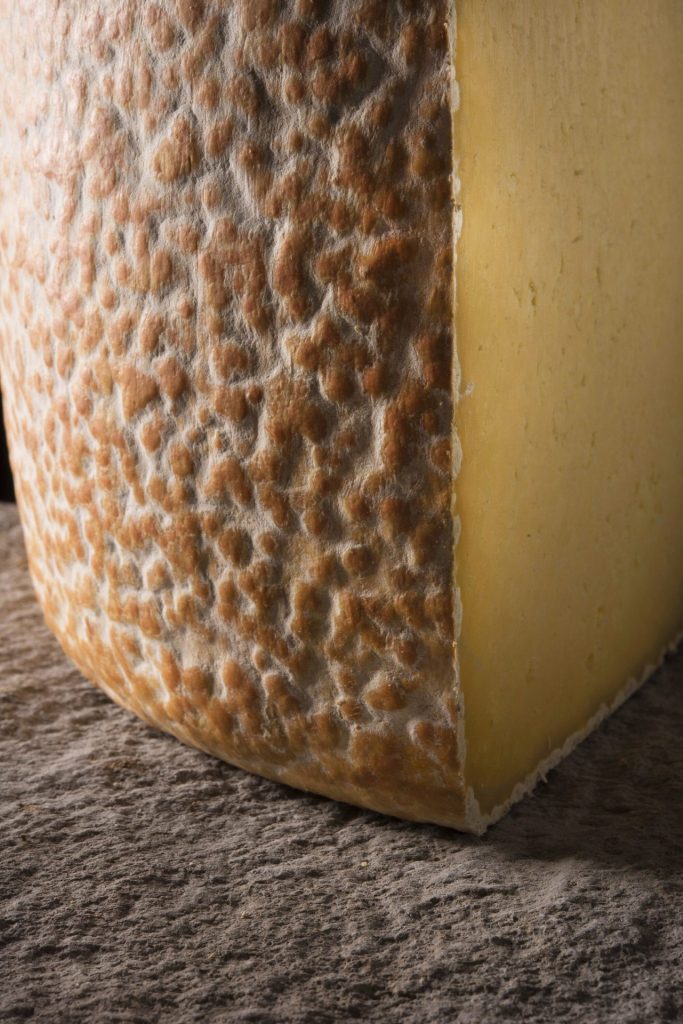 Cantal-Käse aus der Auvergne AOP