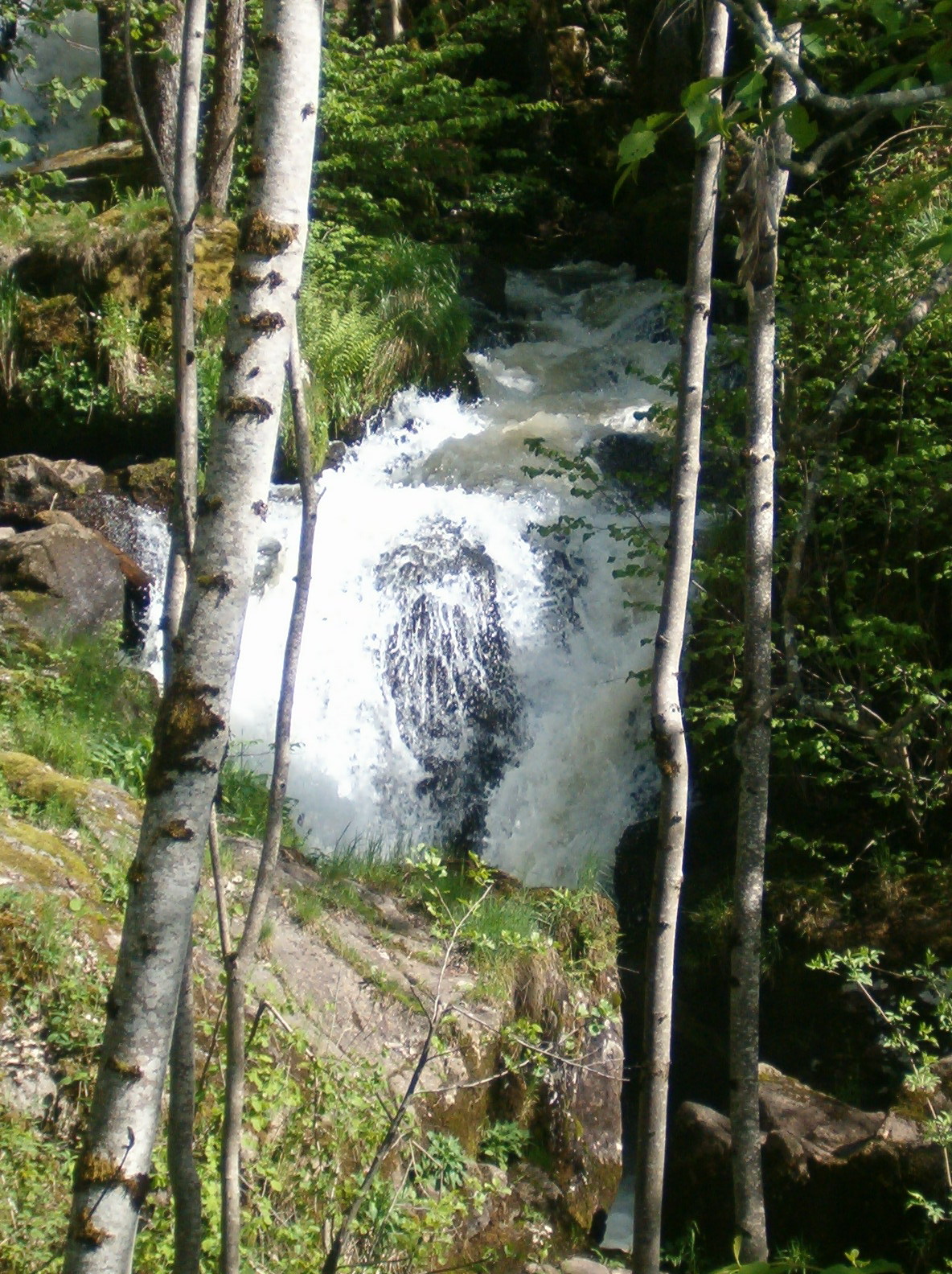 Cascade du pont de la pierre