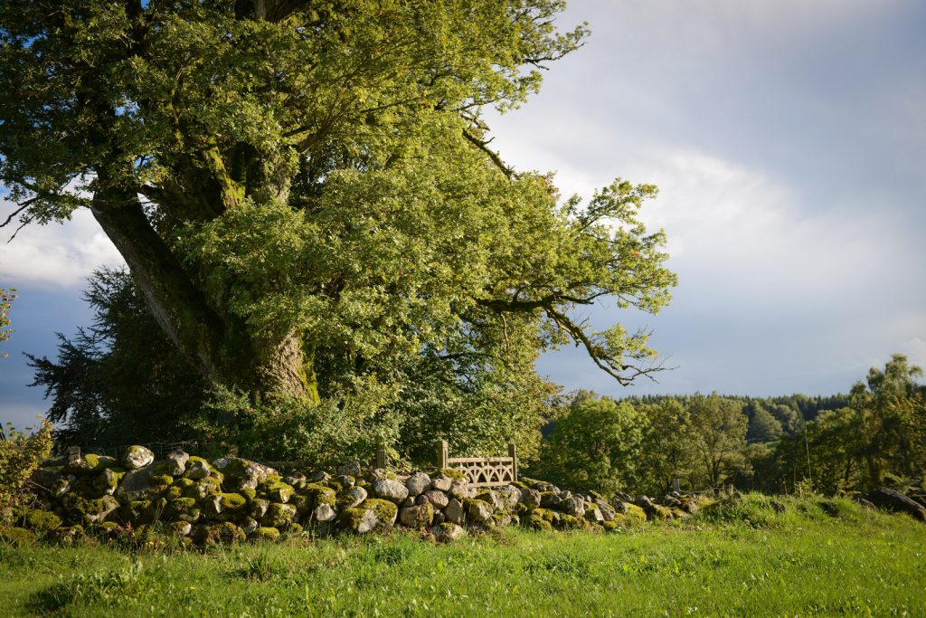 walls typical of the granite plateau of Artense