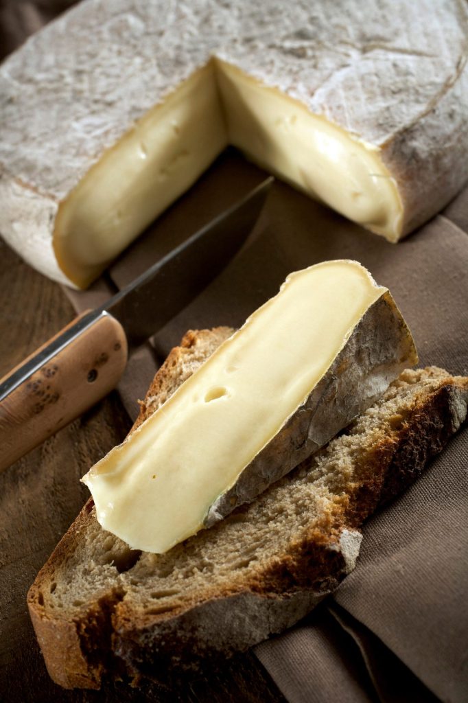 Saint-Nectaire-Käse aus der Auvergne AOP