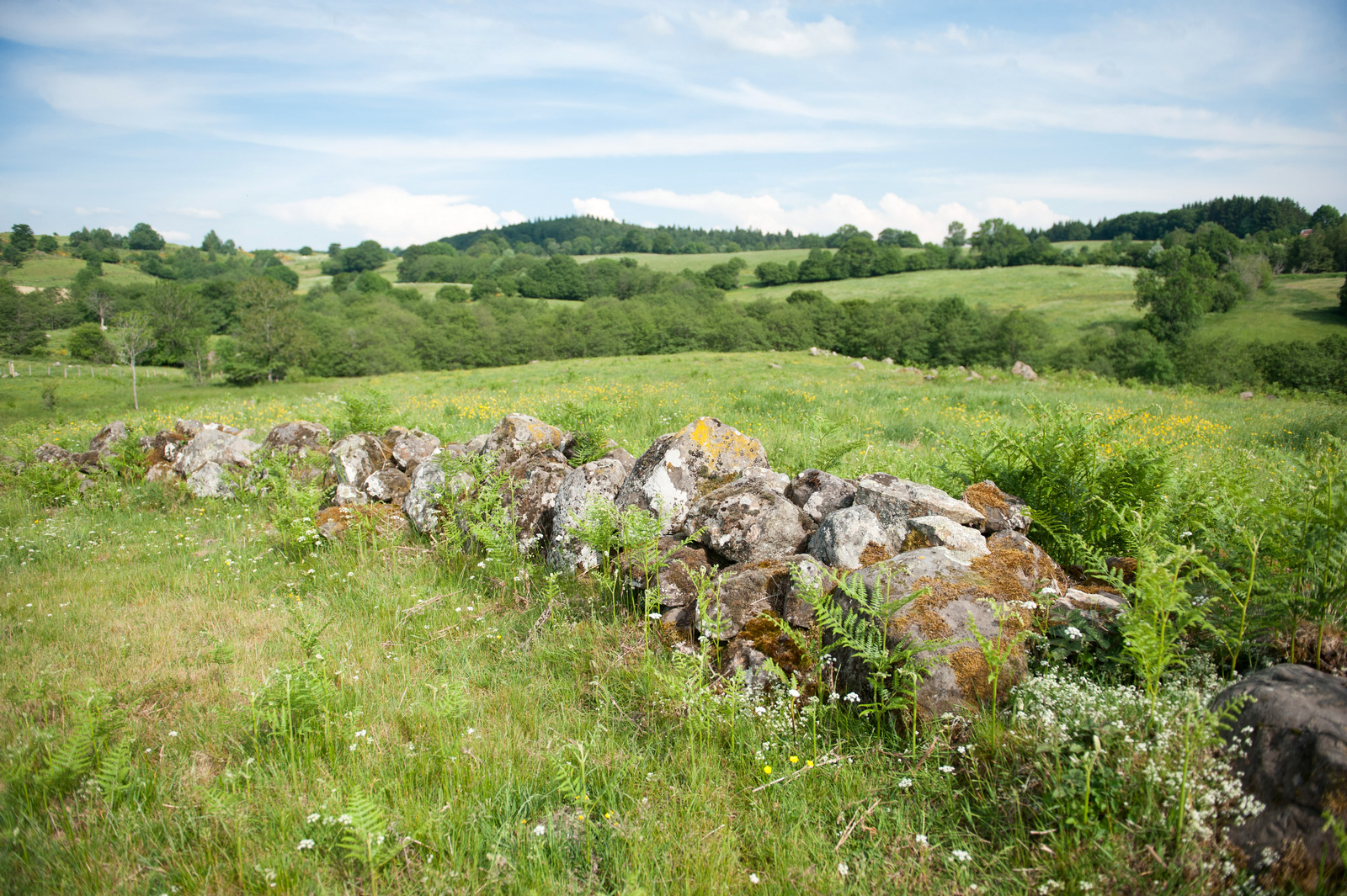 Het artense-plateau en zijn droge stenen muren
