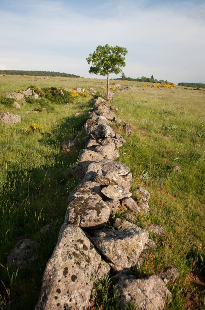 Dry stone wall