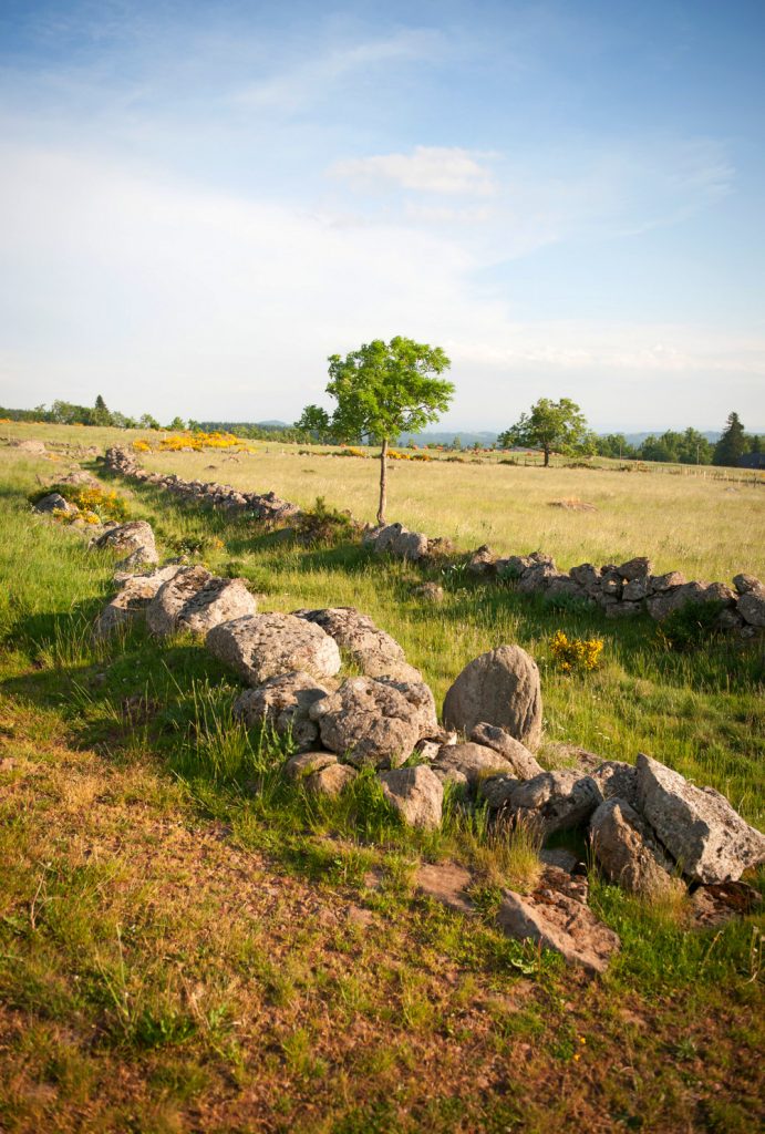 Artense plateau