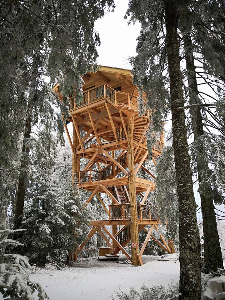 Hütte im Wald bei der Stele