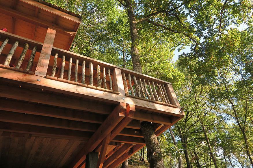 Cabane des les arbres