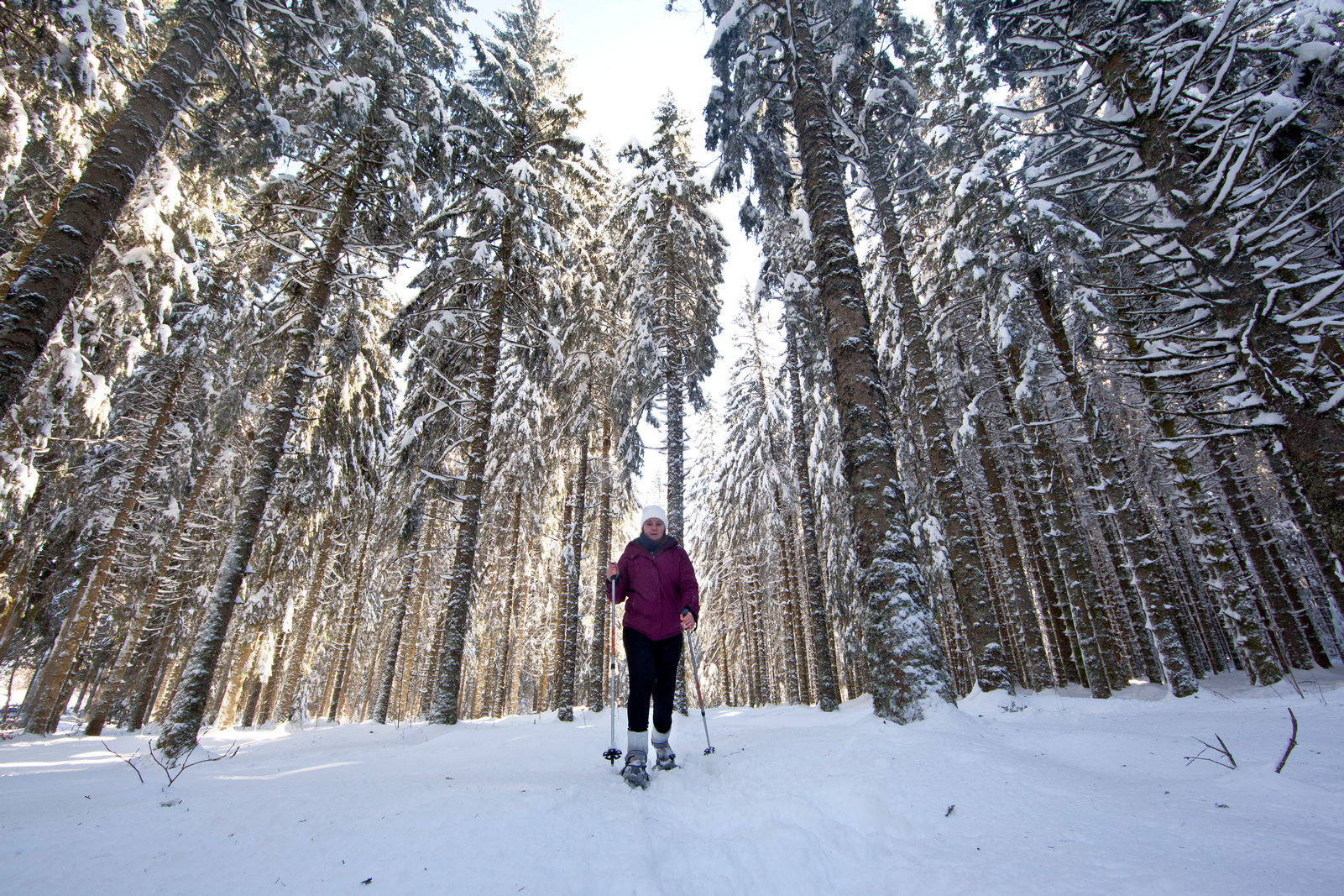Snowshoeing in the woods of the Stèle at La Tour d'Auvergne