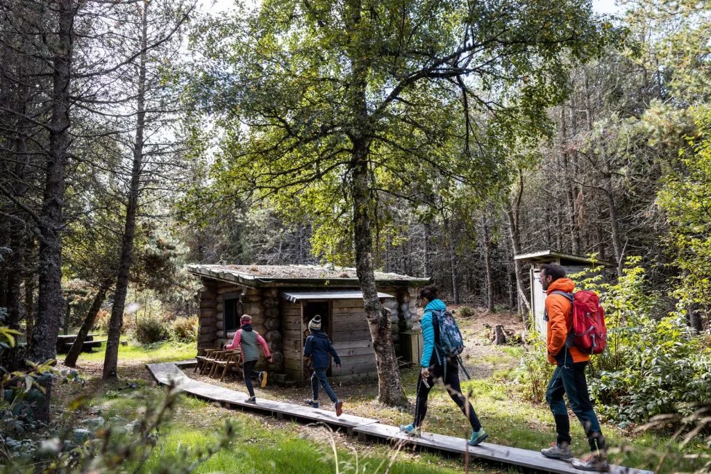 family afternoon at lake guéry, cabin night