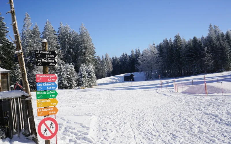 Sneeuwbericht en pistecondities La Stèle – La Tour d'Auvergne