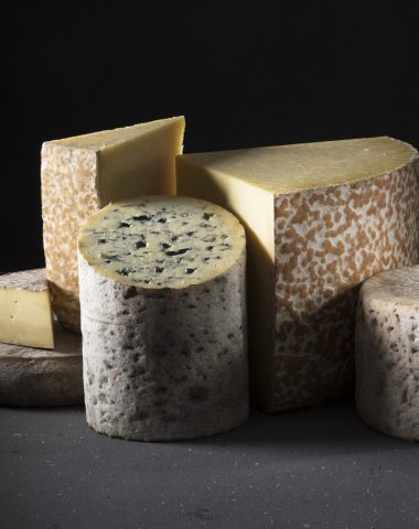 5 AOP Auvergne cheeses