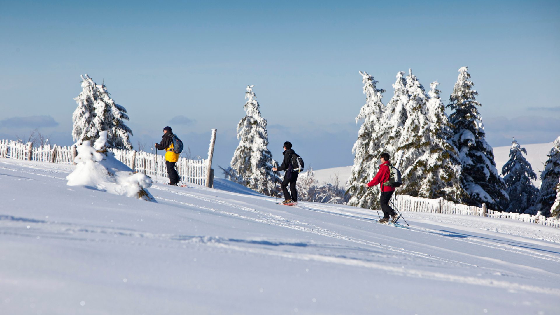 Prestataires activités neige