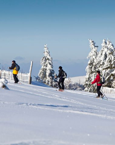 Anbieter von Schneeaktivitäten