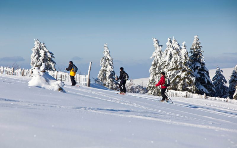 Snow activity providers